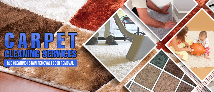 Carpet Cleaning Services